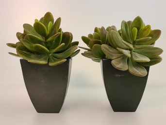 Faux Succulents In Modern Pots - Lot Of 2