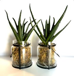 Beautiful Faux Cactus Succulents In Distressed Glass Jars - Lot Of 2