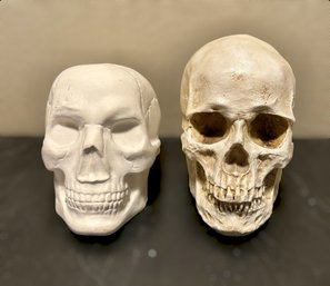 Plaster And Resin Human Skull Replicas - Lot Of 2