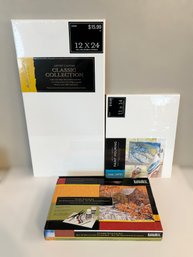 Artistic Collection Of Canvases And Liquitex Classic Art Starter Set