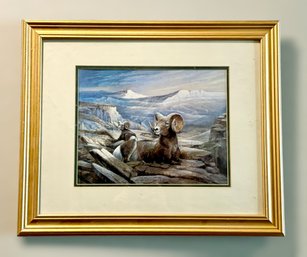 Serene Mountain Top Ram By Ruane Manning Print In A Custom Frame