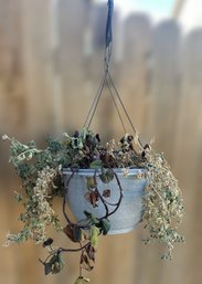 Hanging Greenery Plant With A Decorative Hanging Pot