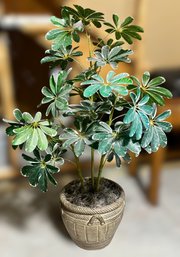 Lovely Faux Schefflera Arboricola House Plant In A Beautiful Garden Pot