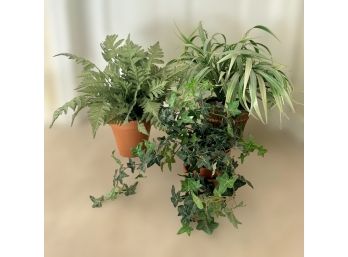 Great Collection Of Faux Plants