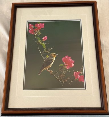 Signed Thomas Mangelsen Print Of  A Gold-Backed Weaver Photograph