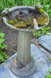 Cement Bird Bath