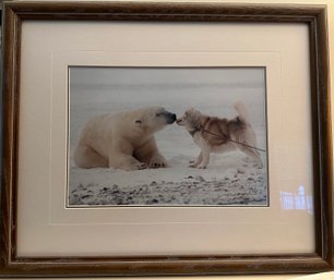 Thomas Mangelsen Print Of A Polar Bear And Husky Photograph