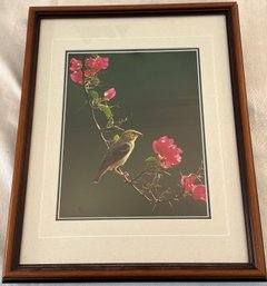Signed Thomas Mangelsen Print Of  A Gold-Backed Weaver Photograph