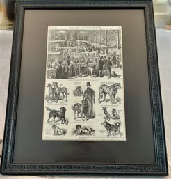 Framed Frank Leslie's Illustrated Newspaper 1877 First Annual Festival Of Dogs