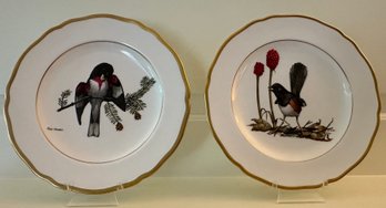 Lot Of 2 Spode American Songbird Series Plates