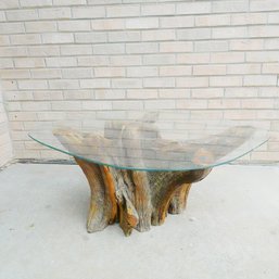 Contemporary Wood Root Glass Top Coffee Table