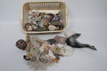 Curated Collection Of Natural Seashells - Perfect For Decor And Crafts