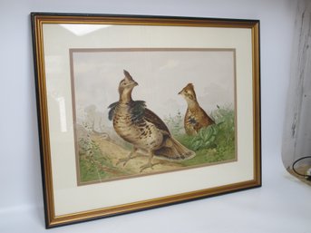 Alexander Pope 'Grouse' Lithograph - Framed Print