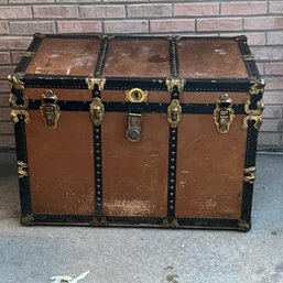 Large Brown And Black Trunk