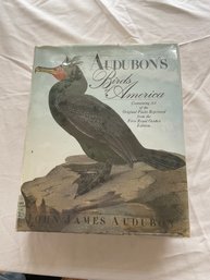 Audubons Birds Of America By John James Audubon