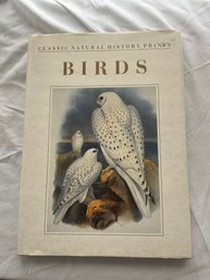 Classic Natural History Prints - Birds By Peter Dance
