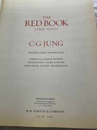 Red Book Liber Novus - By C.G. Jung