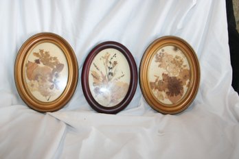 Set Of Three (3) Vintage Pressed Flowers In Frames