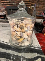 Oversized Container With Shells