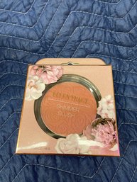 New Shimmer Blush Make Up