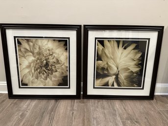 2 Framed Flower Wall Art