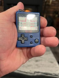 Nintendo Hand Held