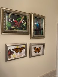 Butterfly & Bird Art - 4 Pc