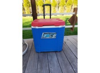 Cooler  With Handle