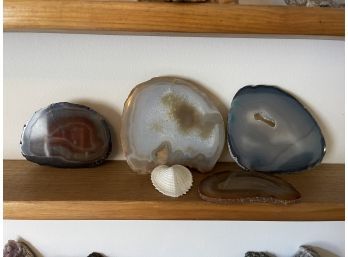 Agate Slices, Geode, Shell