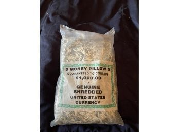 $1,000 In Shredded Money - Money Pillow