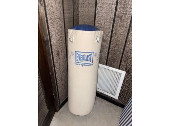 Everlast Punching Bag