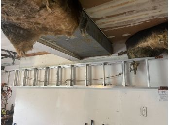 Extension Ladder