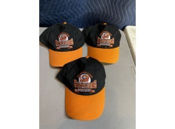 3 Long Island Ducks Hats