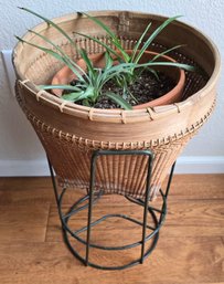 Live Plant In Wicker Basket