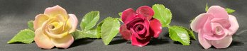 Decorative Roses