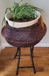 Stool And Plant In Basket