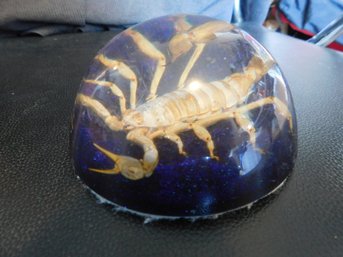 Giant Scorpion Paperweight
