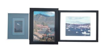 3 Framed Matted Art