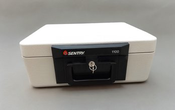 Sentry 1100 Safe