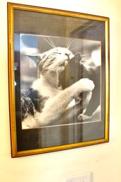 CAT ART PHOTOGRAPHY - LOT OF 2 - LENGTH 16' / HEIGHT 21' - ITEM#794 HLWY