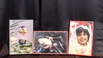 FRAMED PHOTOGRAPHY ART BY LOCAL ARTIST MARTY ROLLER - PHOTOGRAPHY FROM HIS TRAVELS - LOT OF 3 - ITEM#909 BSMT