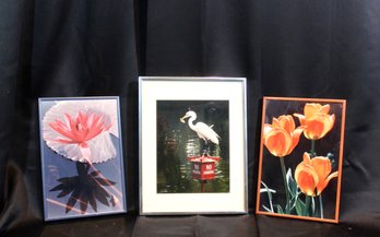 FRAMED PHOTOGRAPHY ART BY LOCAL ARTIST MARTY ROLLER - PHOTOGRAPHY FROM HIS TRAVELS - LOT OF 3 - ITEM#911 BSMT