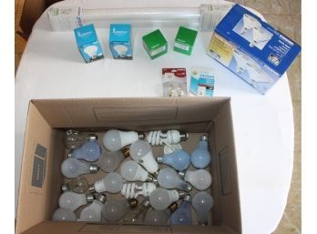 ASSORTMENT OF LIGHTS FOR HOME AND OFFICE - BULBS - PHILIPS - SATCO - WELCH ALLYN - BRINKS - ITEM#64 KIT