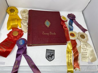 AMAZING LOT OF VINTAGE 1960S-ON EQUESTRIAN HORSE SHOW RIBBONS & SCRAP BOOK FILLED WITH CLIPPINGS