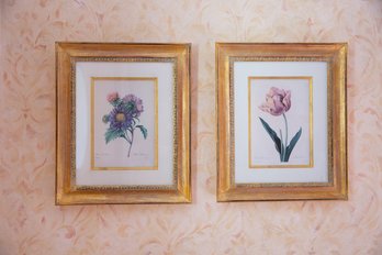 Pair Trowbridge Framed Botanical Prints