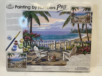 Never Opened Paint By Numbers