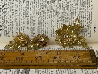 Stunning Vintage Pin And Earring Set