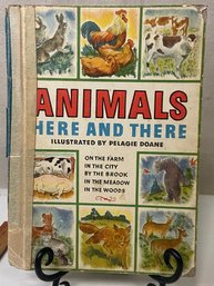 Animals Here And There Book 1945