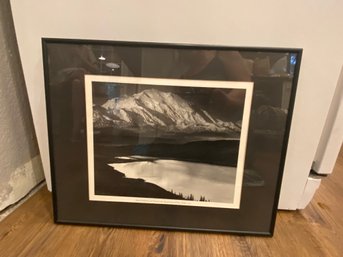 Denali National Park 1947 Black And White Photograph