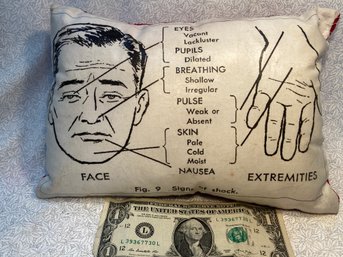 This Is Priceless And So Dear!  Homemade Velvet Backed 'Signs Of Shock' Pillow